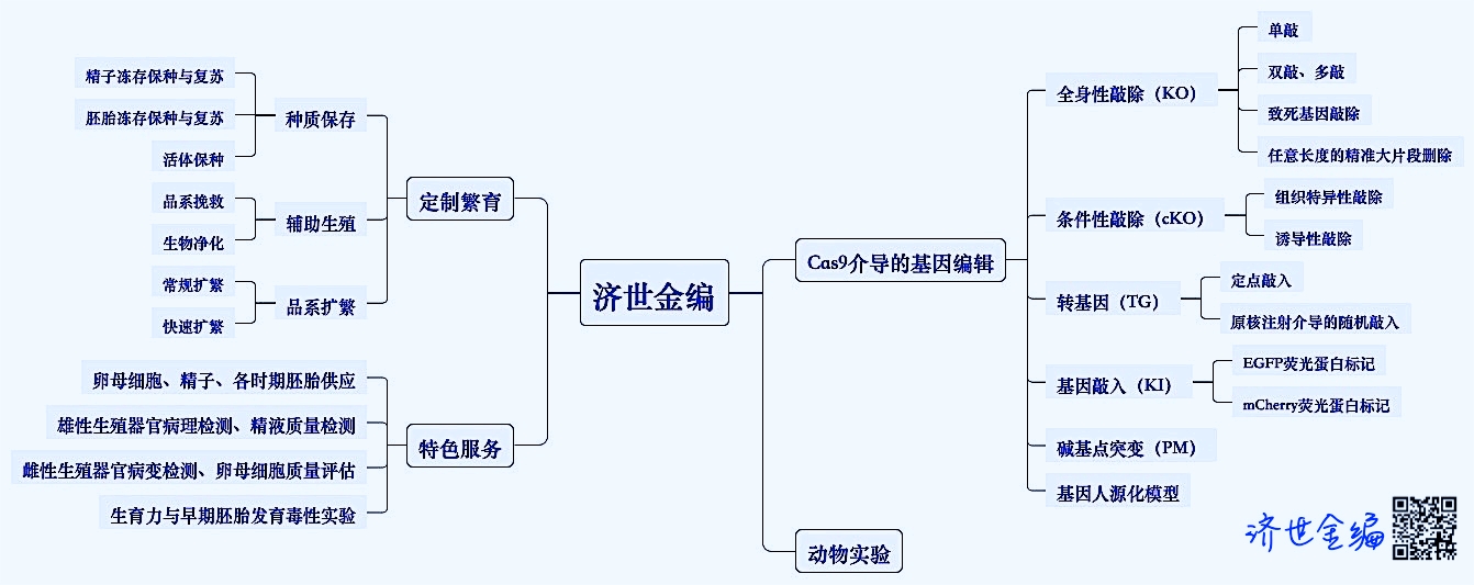 业务分类.jpg