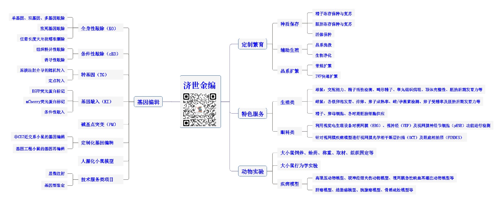 济世金编业务简介.jpg